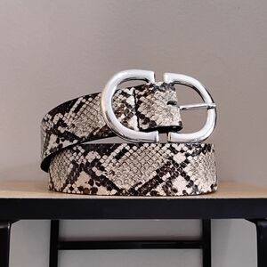 Suzy Shier Snake Print Belt with Silver-Tone Buckle – Size 18/20 EUC